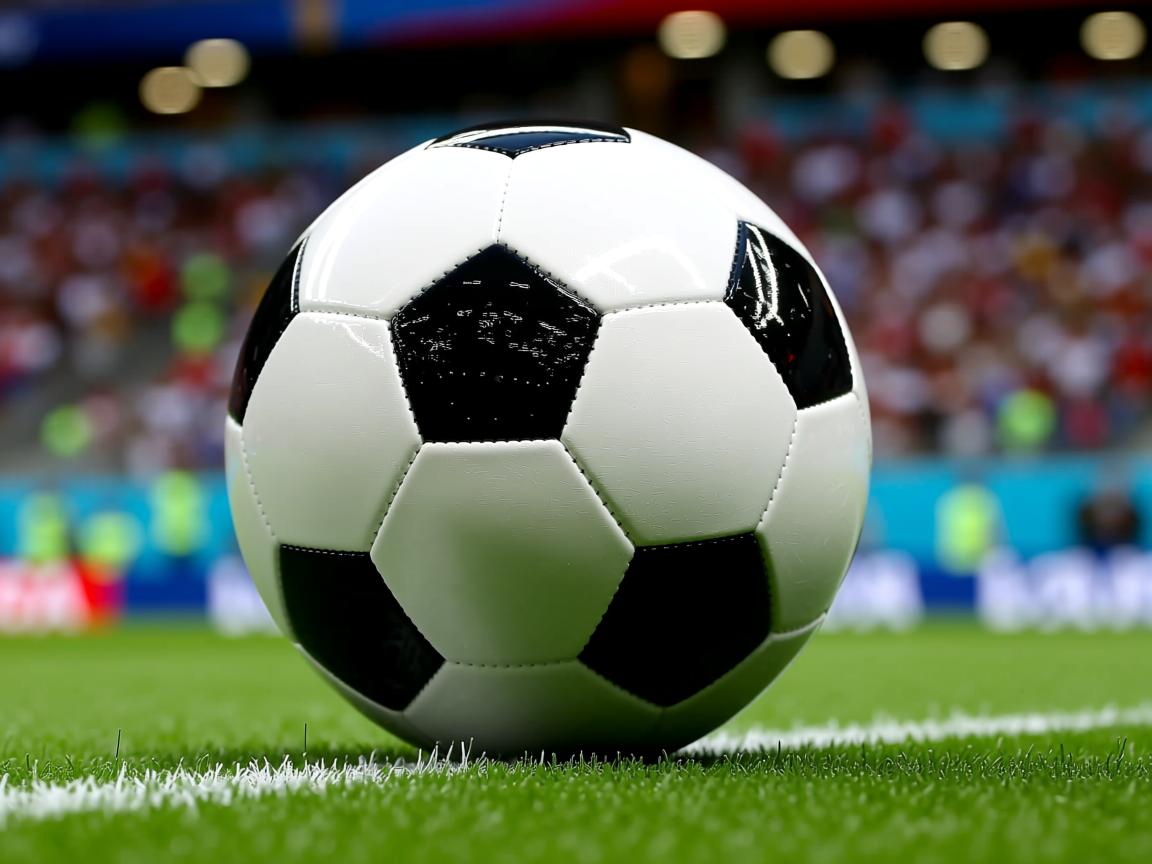 开云体育app-Chinese Taipei未来发展方向:从本土到全球的体育提升  第3张