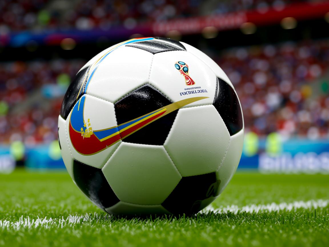 开云体育在线登入-世界前十蝶泳划水深度分布中美居前,蝶泳的世界纪录 第2张