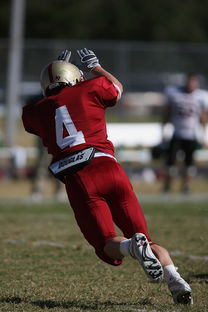 开云体育app注册-五大联赛最具统治力的球队如何打造，五大联赛良心球队